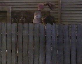 Capture from episode 1.20 - Birds of a Feather Flock to Taylor