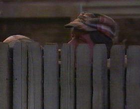 Capture from episode 1.20 - Birds of a Feather Flock to Taylor